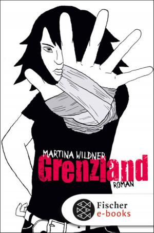 Cover of the book Grenzland by Liz Kessler