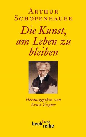 Cover of the book Die Kunst, am Leben zu bleiben by Peter Riemer, Michael Weißenberger, Bernhard Zimmermann