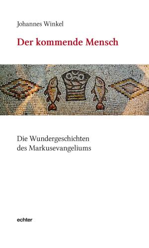 Cover of the book Der kommende Mensch by Marius Stelzer