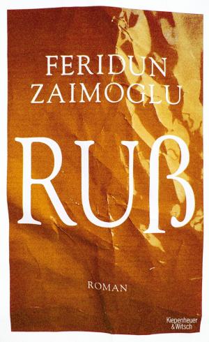 Cover of the book Ruß by Philipp Rusch, Friederike Achilles