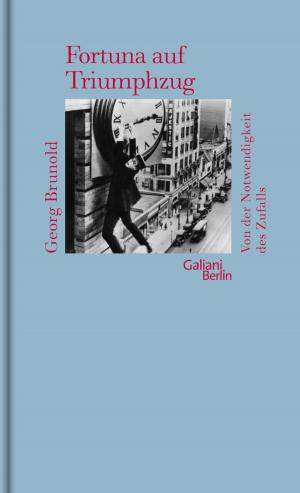 Cover of the book Fortuna auf Triumphzug by Moritz Netenjakob