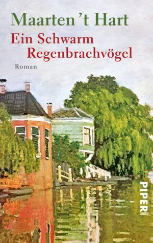 Cover of the book Ein Schwarm Regenbrachvögel by Richard Schwartz