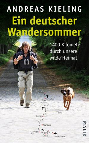 Book cover of Ein deutscher Wandersommer
