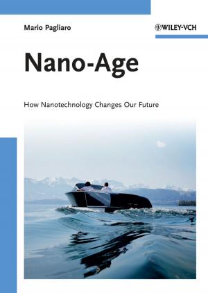 Cover of the book Nano-Age by Lenny Laskowski