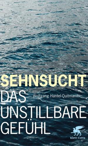 Cover of the book Sehnsucht by Hans Hopf