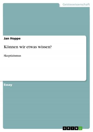 Cover of the book Können wir etwas wissen? by Andrea Henschel