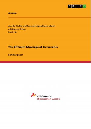 Cover of the book The Different Meanings of Governance by Stefanie Dzierzon