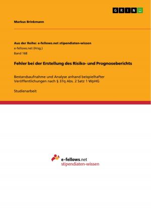 Cover of the book Fehler bei der Erstellung des Risiko- und Prognoseberichts by Bernhard Hagen