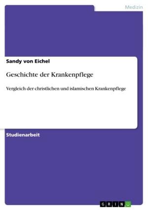 Cover of the book Geschichte der Krankenpflege by Mathias Weidmann