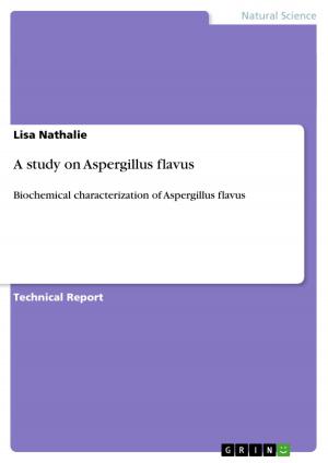 Cover of the book A study on Aspergillus flavus by Nicole Tode