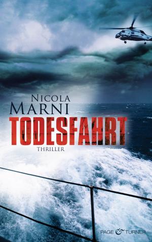 Cover of the book Todesfahrt by Johanna Nicholls