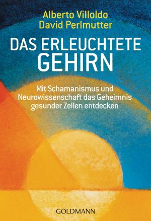 Cover of the book Das erleuchtete Gehirn by Angela Kämper