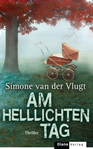 Cover of the book Am helllichten Tag by Stefanie Gerstenberger