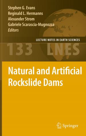 Cover of the book Natural and Artificial Rockslide Dams by Steffen Pluntke