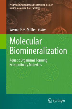 Cover of the book Molecular Biomineralization by Jerzy A. Sładek