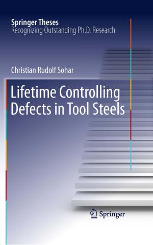 Cover of the book Lifetime Controlling Defects in Tool Steels by Roland Mangold