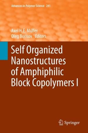 Cover of the book Self Organized Nanostructures of Amphiphilic Block Copolymers I by Sven-Eric Bärsch