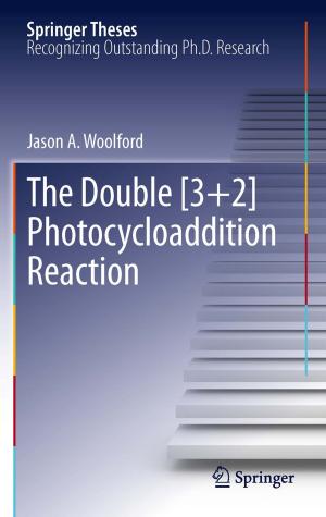 Cover of the book The Double [3+2] Photocycloaddition Reaction by Ralph Berndt, Claudia Fantapié Altobelli, Matthias Sander