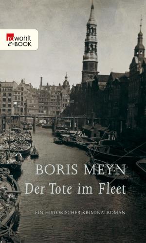 Cover of the book Der Tote im Fleet by Holly-Jane Rahlens