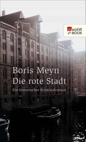 Cover of the book Die rote Stadt by Sandra Lüpkes