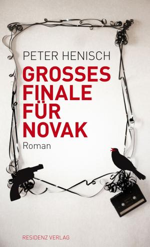 Cover of the book Grosses Finale für Novak by Christine Nöstlinger