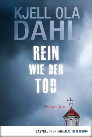 Cover of the book Rein wie der Tod by Andreas Kufsteiner