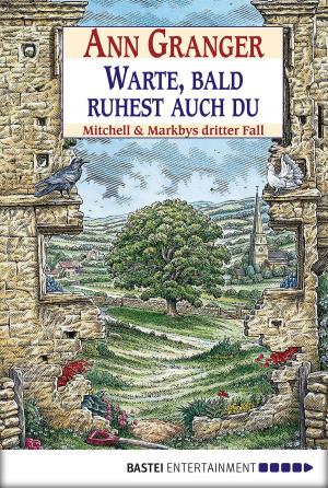 Cover of the book Warte, bald ruhest auch du by Jerry Cotton