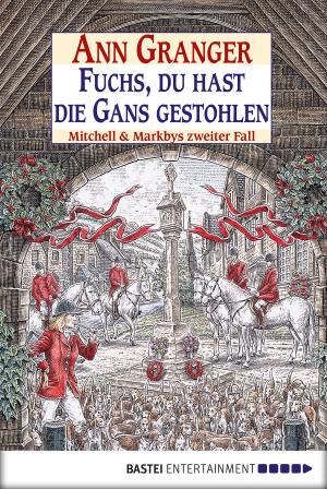 Cover of the book Fuchs, du hast die Gans gestohlen by Karin Graf