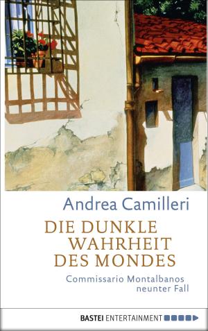Book cover of Die dunkle Wahrheit des Mondes