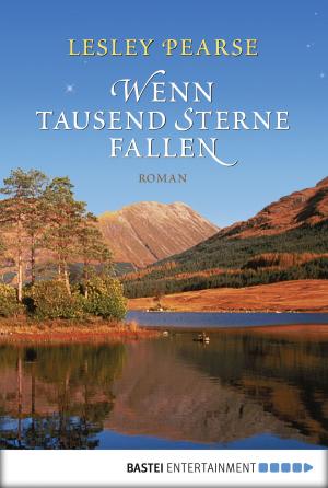 Cover of the book Wenn tausend Sterne fallen by Manfred Weinland