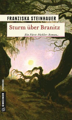 Cover of the book Sturm über Branitz by Reinhard Pelte
