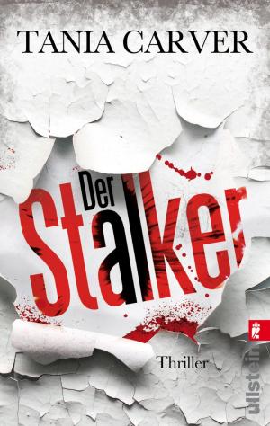 Cover of the book Der Stalker by Oliver Pötzsch
