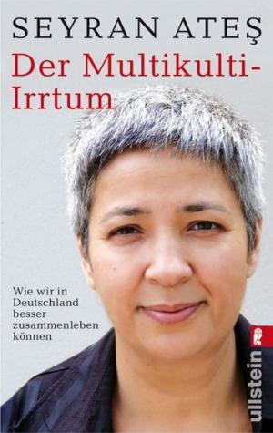 Cover of the book Der Multikulti-Irrtum by Dave Evans, Bill Burnett