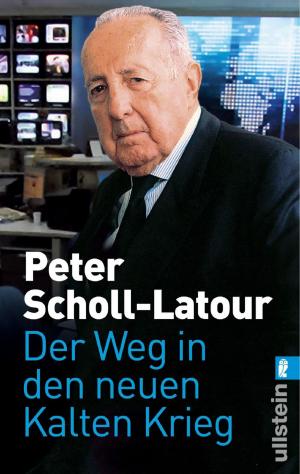 Cover of the book Der Weg in den neuen Kalten Krieg by Martin Schult
