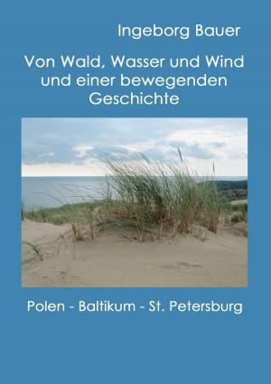 Cover of the book Von Wald, Wasser und Wind und einer bewegenden Geschichte by Edgar Allan Poe