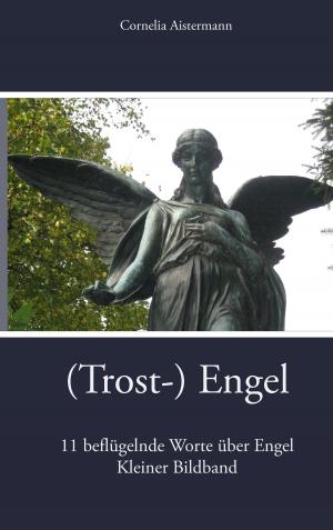 Cover of the book (Trost-) Engel by Jürgen Johannes Platz