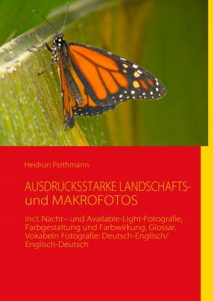 Cover of the book AUSDRUCKSSTARKE LANDSCHAFTS- und MAKROFOTOS by Corina Lendfers