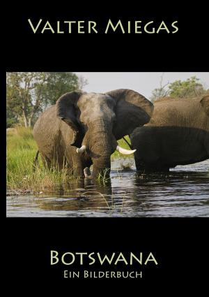 Cover of the book Botswana Taschenbuch by Helen Krasner