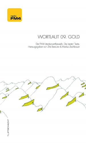 Cover of the book Wortlaut 09. Gold by Michael Roher