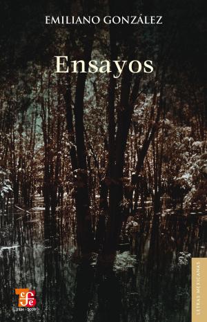 Cover of the book Ensayos by Homero Aridjis