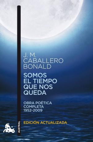 Cover of the book Somos el tiempo que nos queda by Alejandro Ebrat Picart