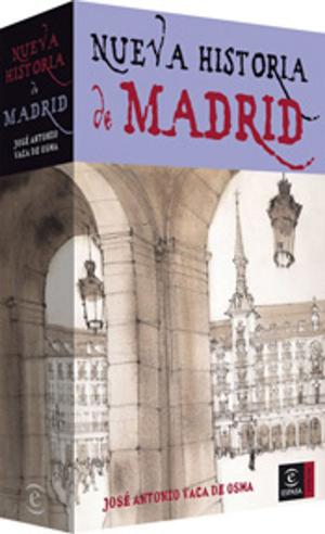 Cover of the book Nueva historia de Madrid by Silvia García Ruiz