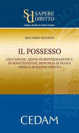 Cover of the book Il possesso by Diana Antonio Gerardo