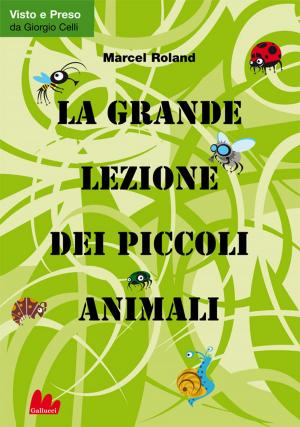 Cover of the book La grande lezione dei piccoli animali by Andrea Rauch, Robert Louis Stevenson