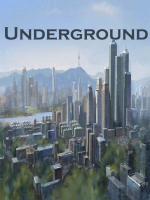 Cover of the book Underground by Jim Tully