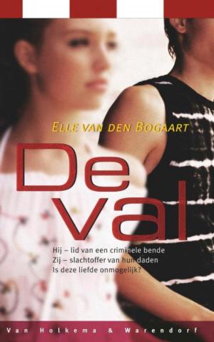 Cover of the book De val by Dorine Hermans, Els Rozenbroek