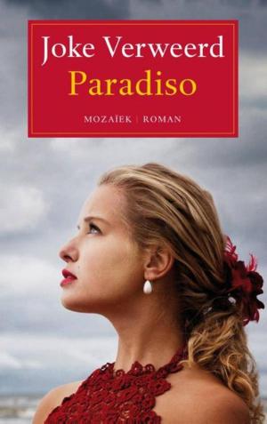 Cover of the book Paradiso by Johan van Dorsten