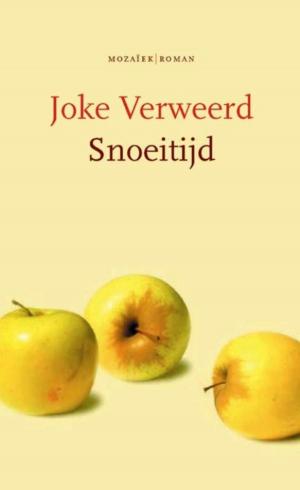 Cover of the book Snoeitijd by Max Lucado