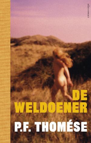 Cover of the book De weldoener by Charles Lewinsky