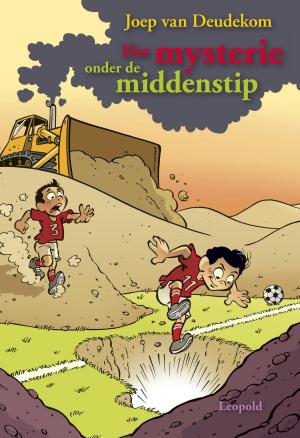 Cover of the book Het mysterie onder de middenstip by Ruben Prins
